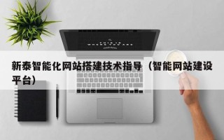 宁津新泰智能化网站搭建技术指导（智能网站建设平台）